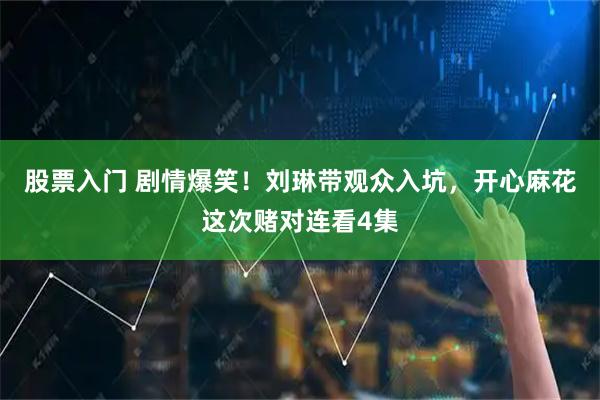 股票入门 剧情爆笑！刘琳带观众入坑，开心麻花这次赌对连看4集